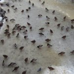Рыбалка ещё не началась.