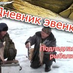 Подледная рыбалка.//Ice fishing.