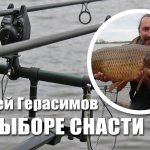 Карповые оснастки и экипировка для начинающих.