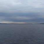 Далеко решил не ходить