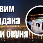 С ночевкой на хищника. Судак и окунь