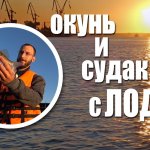 Вечерний клев - окунь на каролину с лодки