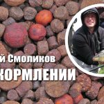 Уловистые насадки и рабочая прикормка на карпа