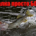 Рыбалка просто БОМБА
