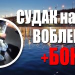 Ночной судак на воблеры + бонус