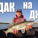 Косим судака на реке джигом