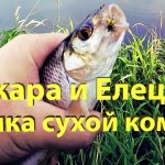 Ловля ельца на tenkara. Мушка сухой комарик. Поиск рыбы и отличные поклевки!