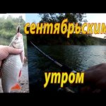 Ловля ГОЛАВЛЯ на спиннинг в сентябре.  Рыбалка на реке.