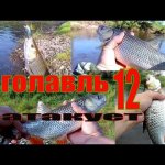 Голавль атакует 12. Ловля голавля на спиннинг.