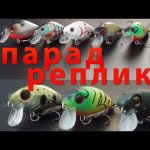 В поисках лучшего воблера на голавля. Парад реплик.