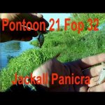 JACKALL PANICRA.Мастер класс от Pontoon 21 Fop 32.Ловля голавля спиннингом.