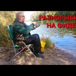 Ловля разнорыбицы в октябре  на фидер