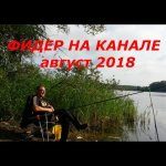 Фидер на канале