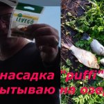Ловля карася на пенотесто
