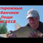 Ловля лещей на фидер в мае