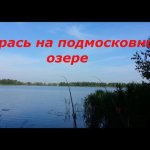 Ловля карася на подмосковном озере в июле
