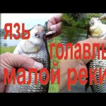 Осень.Спиннинг.Ловля на воблеры: Язя, Голавля.