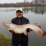 Рыбалка на щуку
