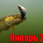 Щука на жерлицу. Январь 2019