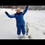 Первая в жизни щука на жерлицу