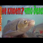 Два пути ловли на спиннинг...Может три, но это не для нас...