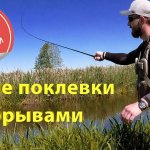 Злые поклевки с обрывами поводков. Ищем крупных ельцов.