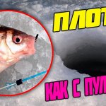 ШОК_Я И НЕ ОЖИДАЛ ТАКОЙ БОРЬБЫ С ПЛОТВОЙ В ЭТОМ БОЛОТЕ_МОРМЫШКУ РАЗМОТАЛО ОТ ПОКЛЕВОК!