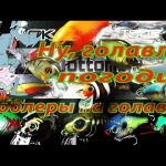 Воблеры на ГОЛАВЛЯ. Обзор обновок, сезон 2019. Pontoon21,Jackall,Tsuribito, и др...(Часть 2)