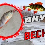 рыбалка на Алтае ловля окуня просто отпад