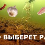 Развлекаю РАКА, что ему пришлось по вкусу? подлёдная съёмка.