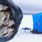 Зимняя палатка. Секретная прикормка на леща. Гриль на льду