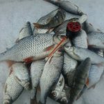 Он сверлит - ищет заветную лунку.