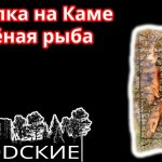Летняя рыбалка на реке Кама - Камские Поляны. Копченая рыба. Щука, окунь, язь.