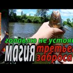 Голавль на каждом третьем...Ловля голавля на спиннинг.