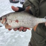 Последний лёд Рыбинское водохранилище