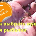 Как выбрать мушку для рыбалки. How to choose a fly for fishing.
