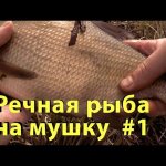 Речная рыба на мушку #1. Ловля весенней рыбы по холодной воде.