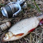 НА ЧТО ЛУЧШЕ КЛЮЕТ РЫБА ? Ловля на попла- поппер.What is better pecking fish Catching popper.
