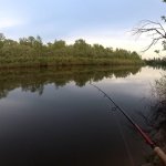 Ждем вечерний выход судака, рыбалка на спиннинг