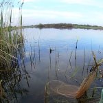 Рыбалка на поплавок весной. АКТИВНЫЙ клёв плотвы на мастырку