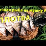 Речная рыба на мушку #2. Ловля весенней плотвы.