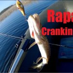 Ловля щуки с Rapala Crankin Crank. Лучшие воблеры с Алиэкспресс