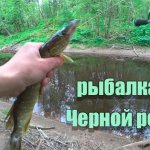 Рыбалка на Черной речке. Спиннинг с берега.