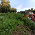 Вечерняя рыбалка на спиннинг с берега