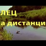 Ловля ельца на дистанции мокрой мушкой. Ловим на kebary.
