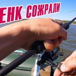 СПИННИНГ В ДУГУ! Ловля язя на спиннинг.  Рыбалка на воблер в июне 2019