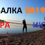 Рыбалка на кормушки в 2019.  Белая рыба.  Жара июль!