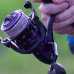 Обзор катушки Black Side Guardian Feeder