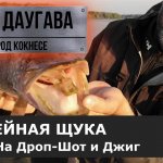 Трофейная щука на дроп-шот. Щуки и судаки. [Улетная рыбалка].