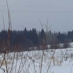 Рыбалка на река Усолка. Лоси.